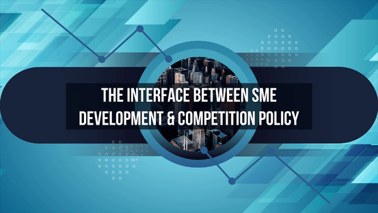 <div class="text_to_html">Training course on the interface between SME development and competition policy</div>